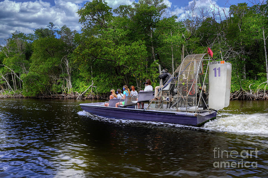 Air Boat Ride in the Florida Everglades  Photograph by Elaine Manley