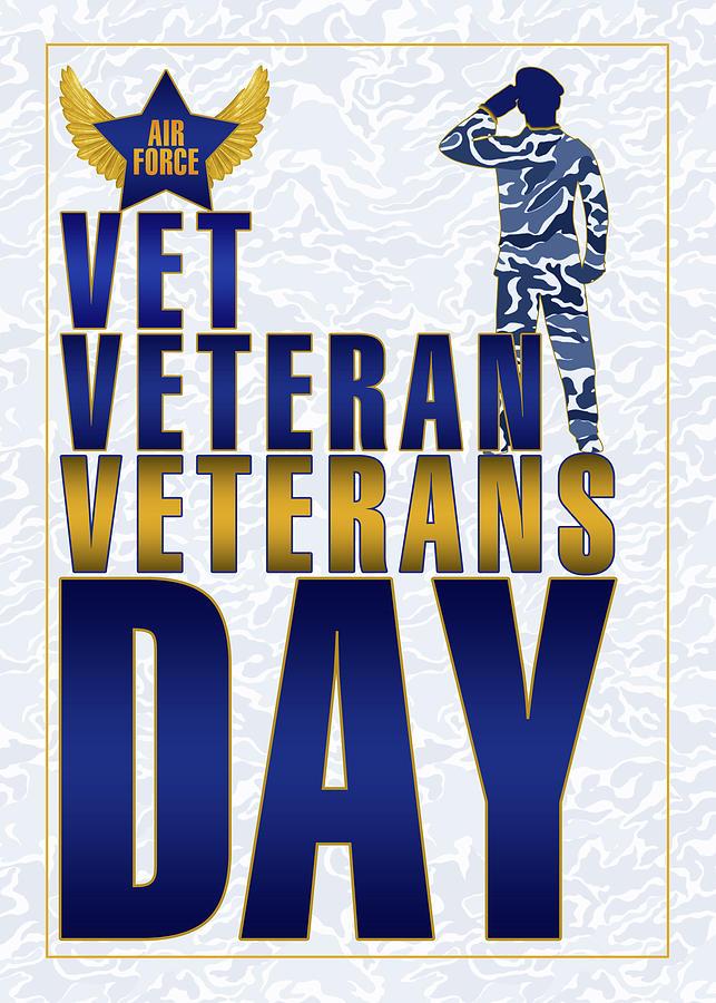 Air Force Veterans Day Digital Art by Doreen Erhardt