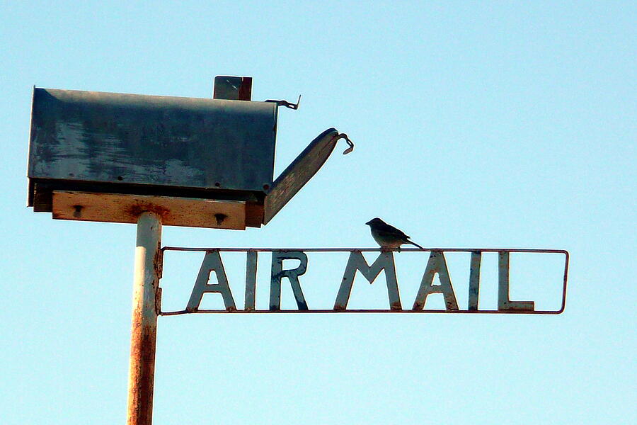 Air Mail Digital Art by Dominique Lecomte Air Mail Digital Art by Dominique Lecomte