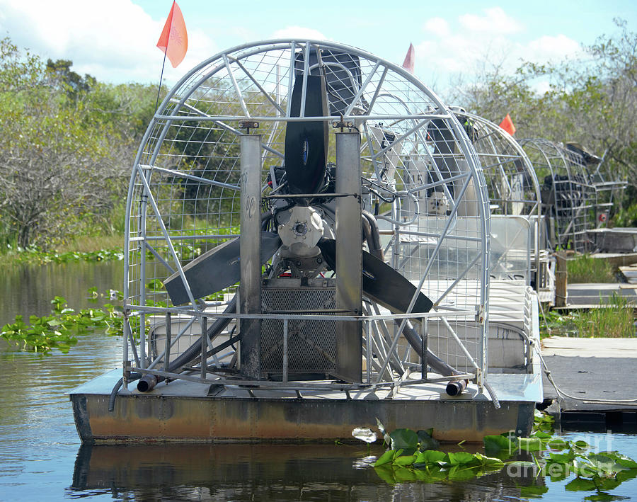 Airboats in the everglades Photograph by David Lee Thompson