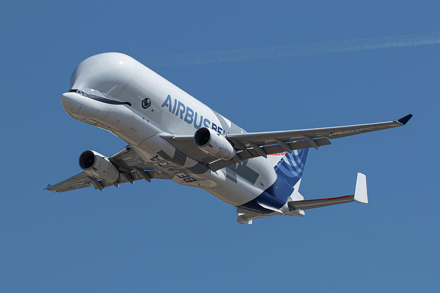 Airbus A330-743L Beluga XL Photograph by Airpower Art - Pixels