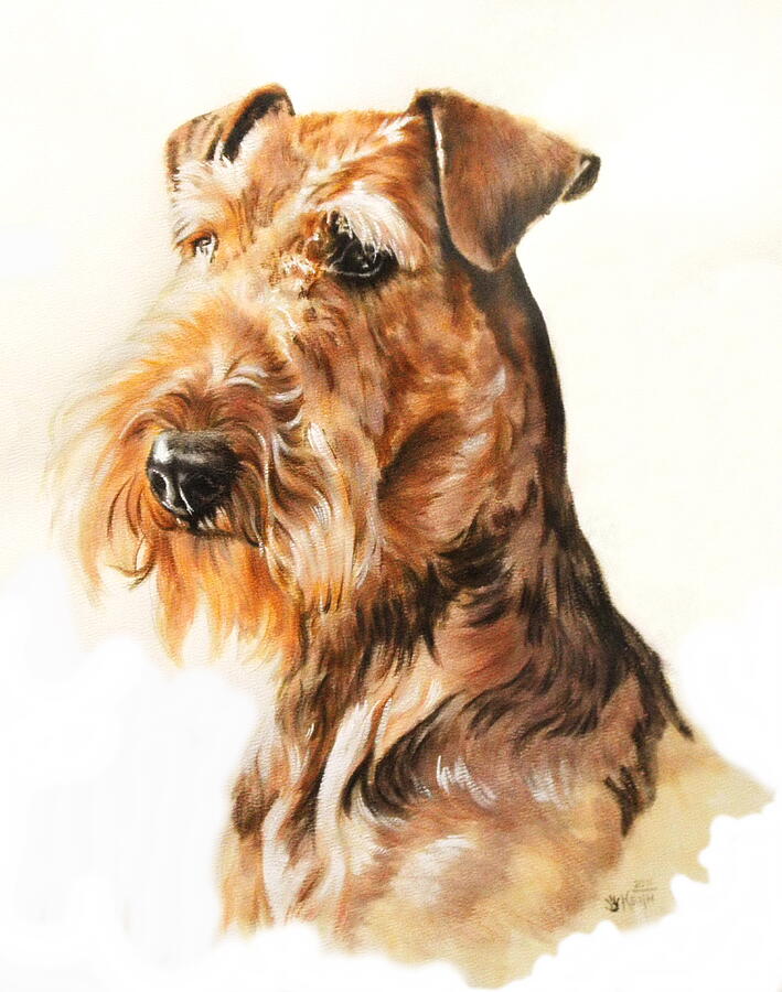 Airedale Portrait in Watercolor Painting by Barbara Keith