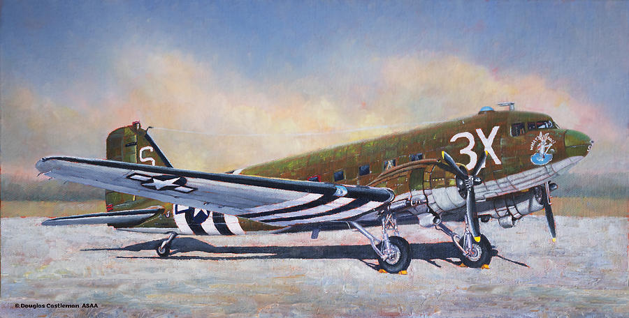 Airshow Skytrain Painting by Douglas Castleman