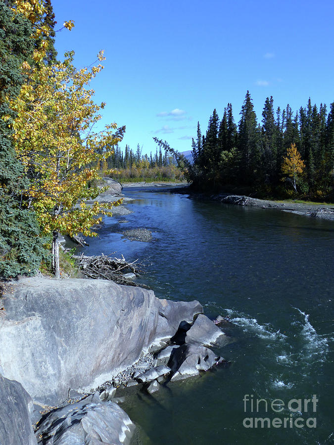 Aishihik River - Yukon Photograph by Phil Banks