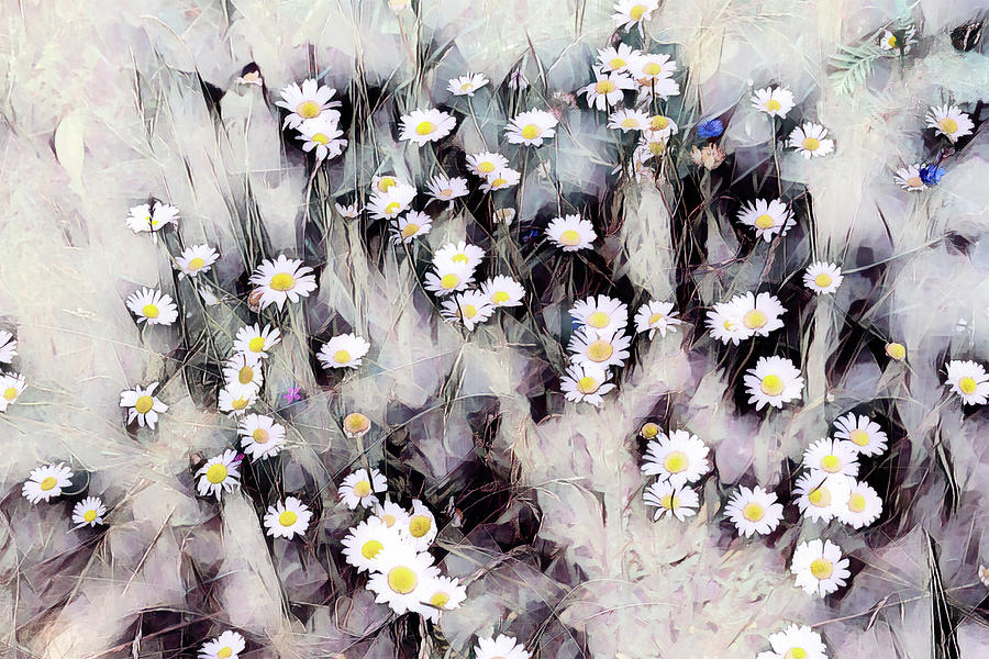 Daisies Painting - Daisies on the flower meadow by Patricia Piotrak
