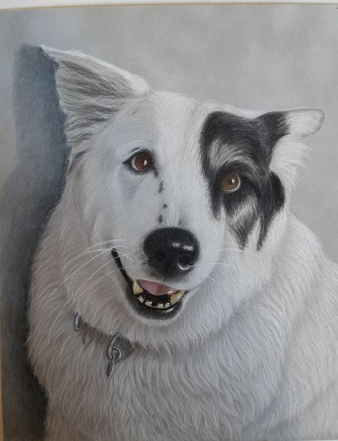 Ajaz, The Lovable Pup Drawing by Lorraine Foster