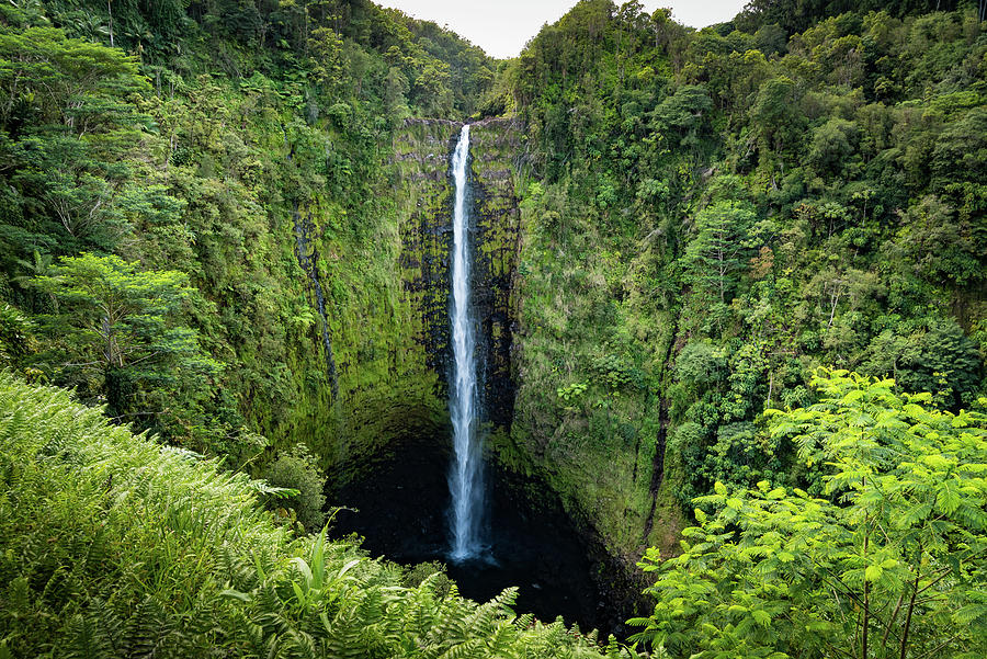 Akaka Falls Hawaii Photograph by Gary Anderson | Fine Art America