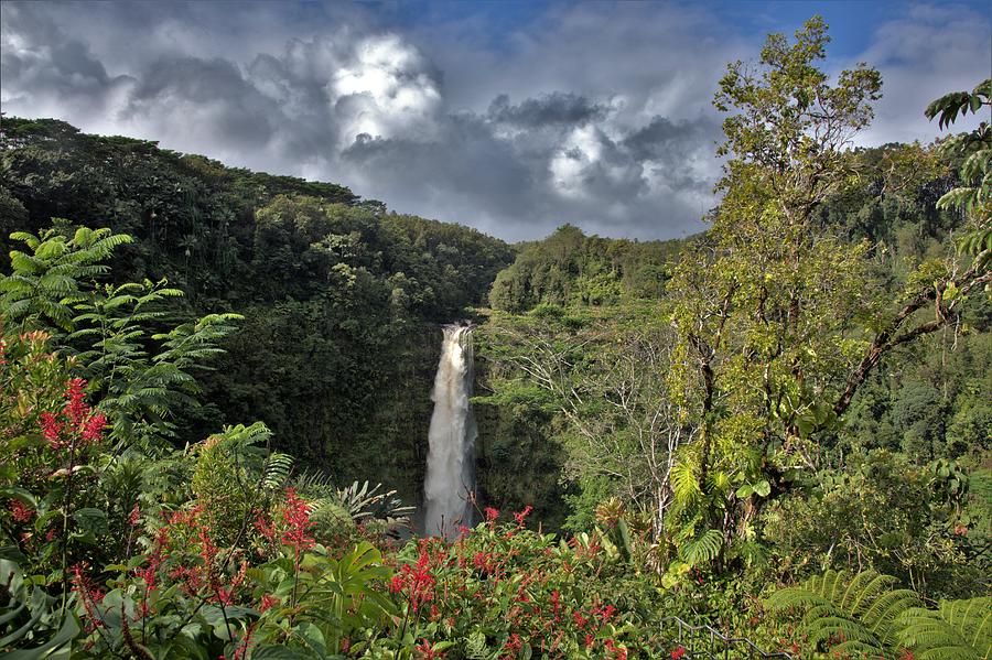 Akaka Falls Hawaii Island Photograph