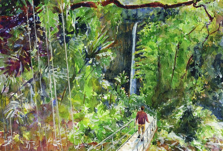 Akaka Falls Hilo Hawaii Painting by John D Benson