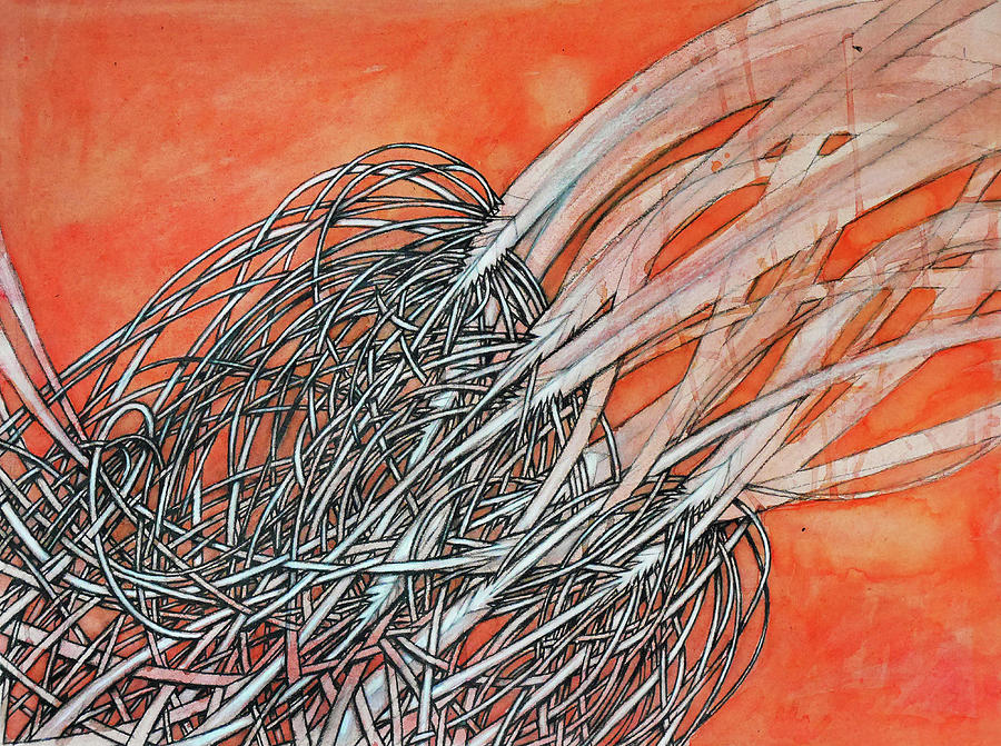 Akaslompolo Drawing - Akaslompolo Red Cherry Shrimp by Junkohanhero Akaslompolo Drawing - Akaslompolo Red Cherry Shrimp by Junkohanhero