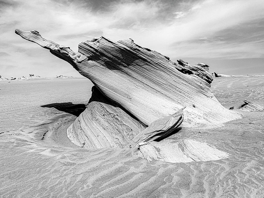 Al Wathba Fossil Dunes Photograph