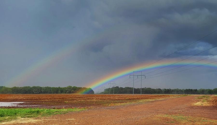 Alabama Rainbow  Photograph by Ally White