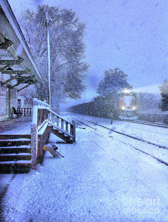 Alabama Snow Photograph by Rick Lipscomb