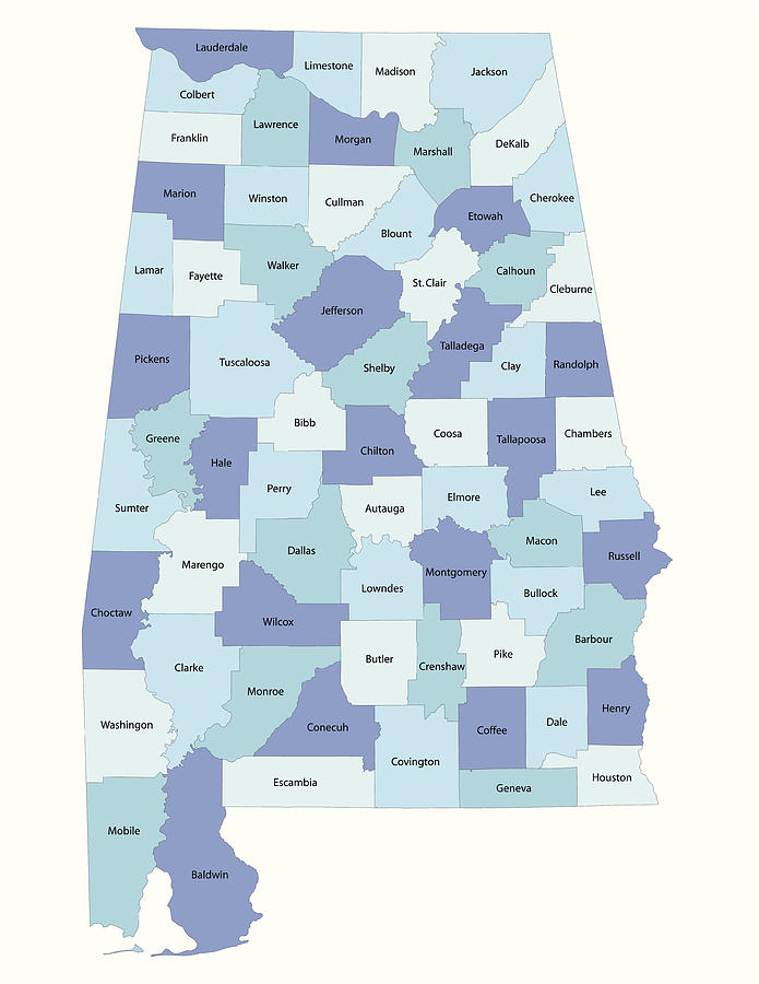 Alabama state - county map Drawing by Hagencd