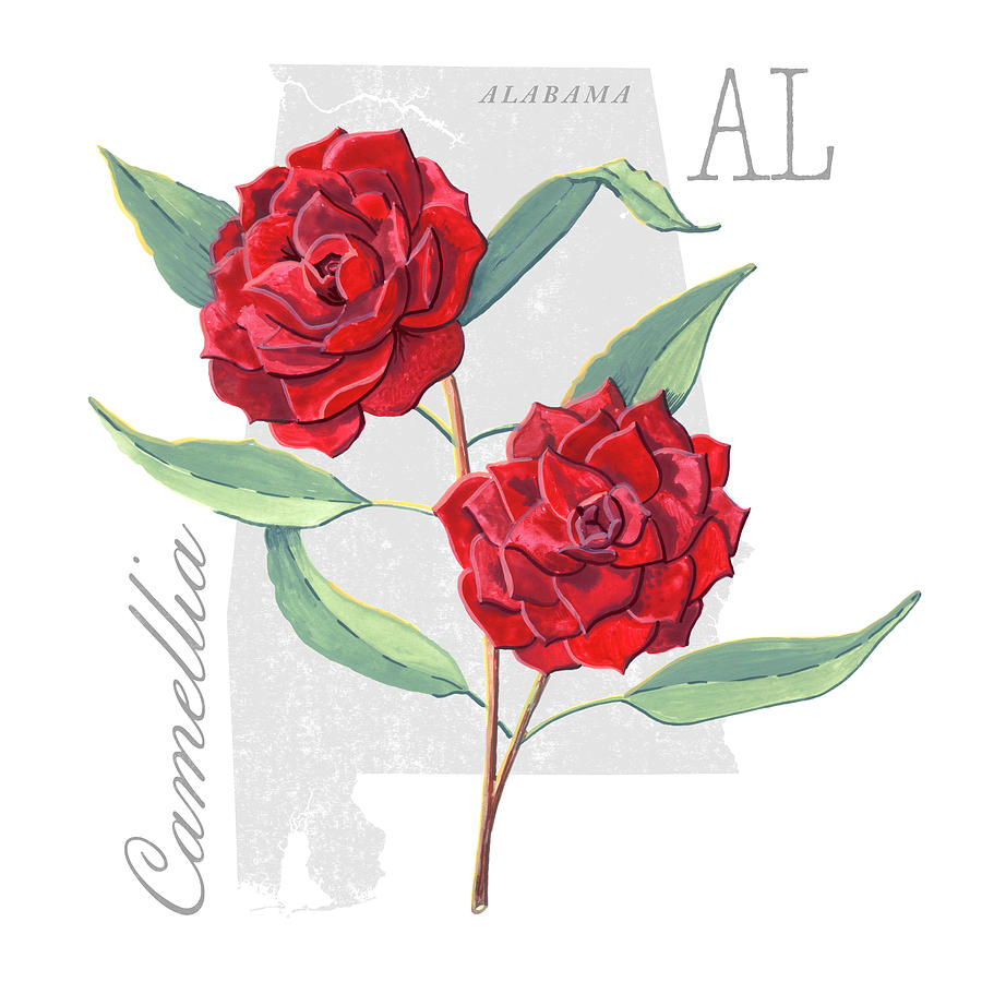Alabama State Flower Camellia Art by Jen Montgomery Painting by Jen