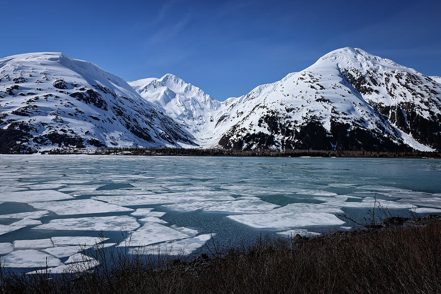 Alaska 229308 Photograph by Tom Weisbrook