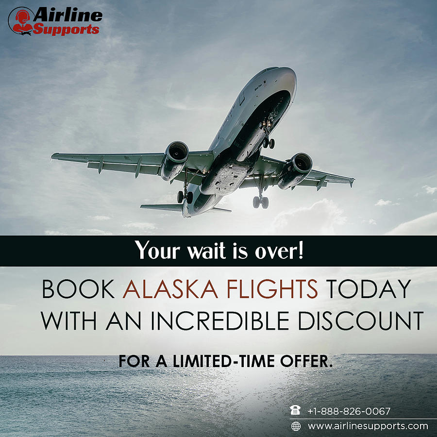 Alaska airline Flight booking. Ceramic Art by Airline Supports Fine