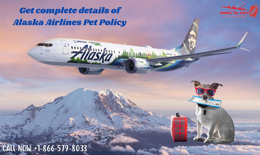 Alaska Airlines Pet Policy Pyrography by WigntoSky Fine Art America