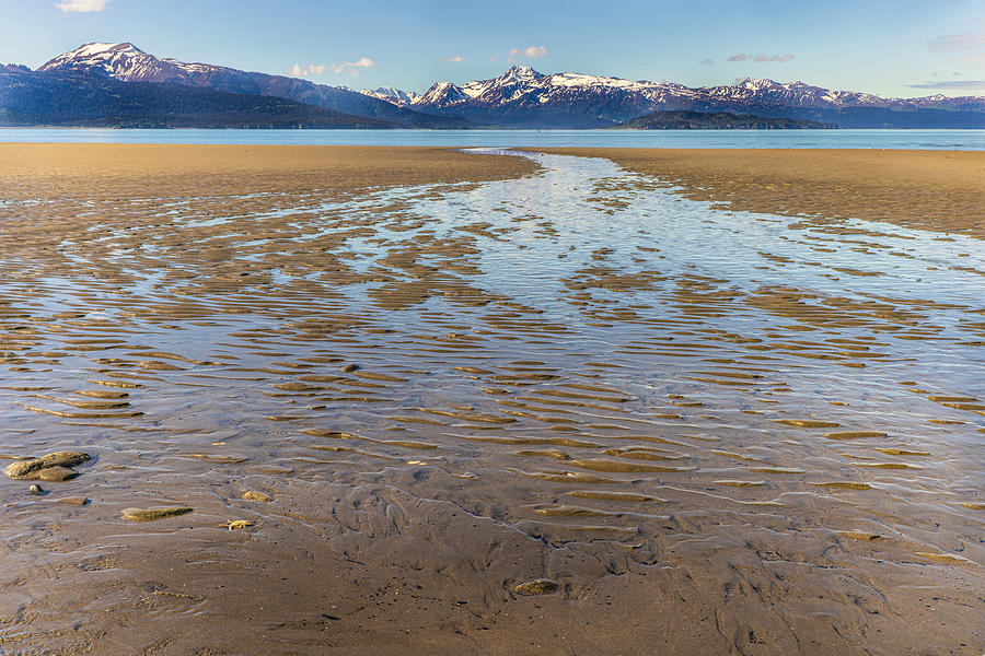 Alaska Beach Photograph by Fran Gallogly