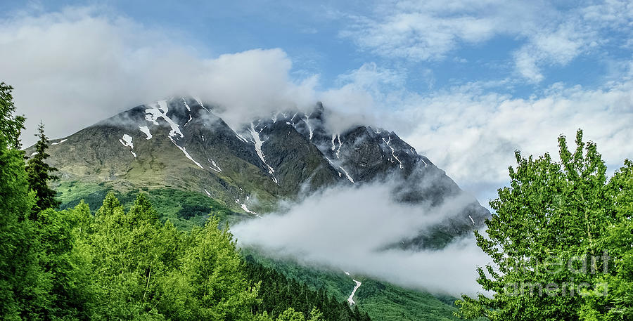 Alaska Bear Mountain Photograph by Jennifer White