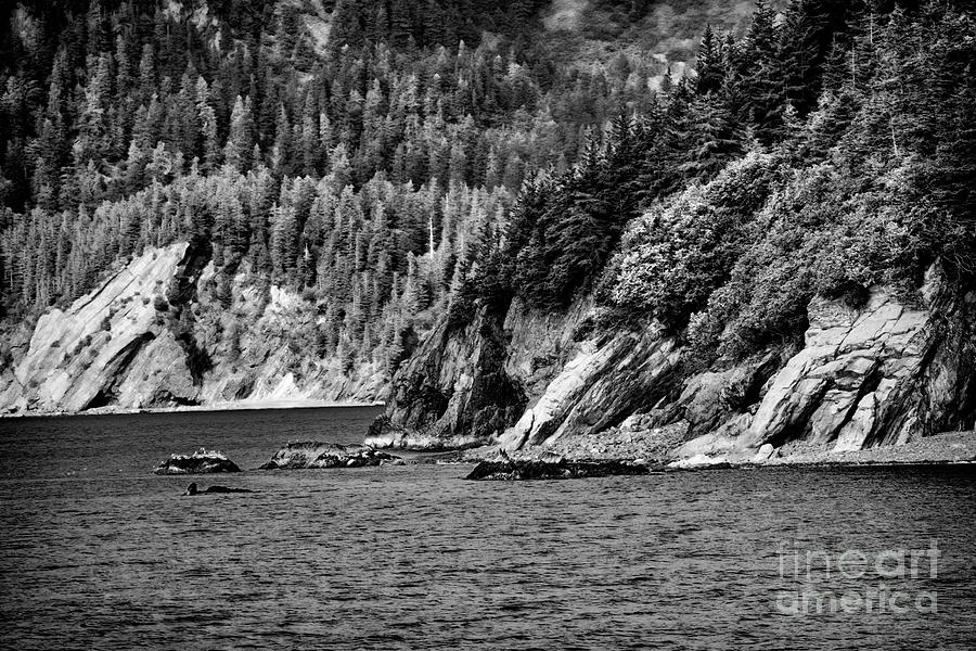 Alaska Black White Nature  Photograph by Chuck Kuhn
