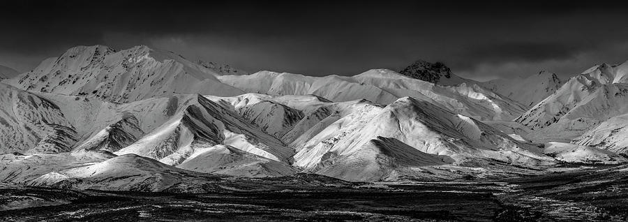 Alaska - Denali in black and white Photograph by Olivier Parent