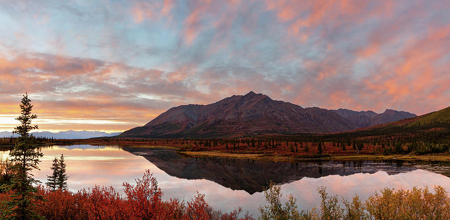 Alaska Fall Colors Photograph by Scott Slone