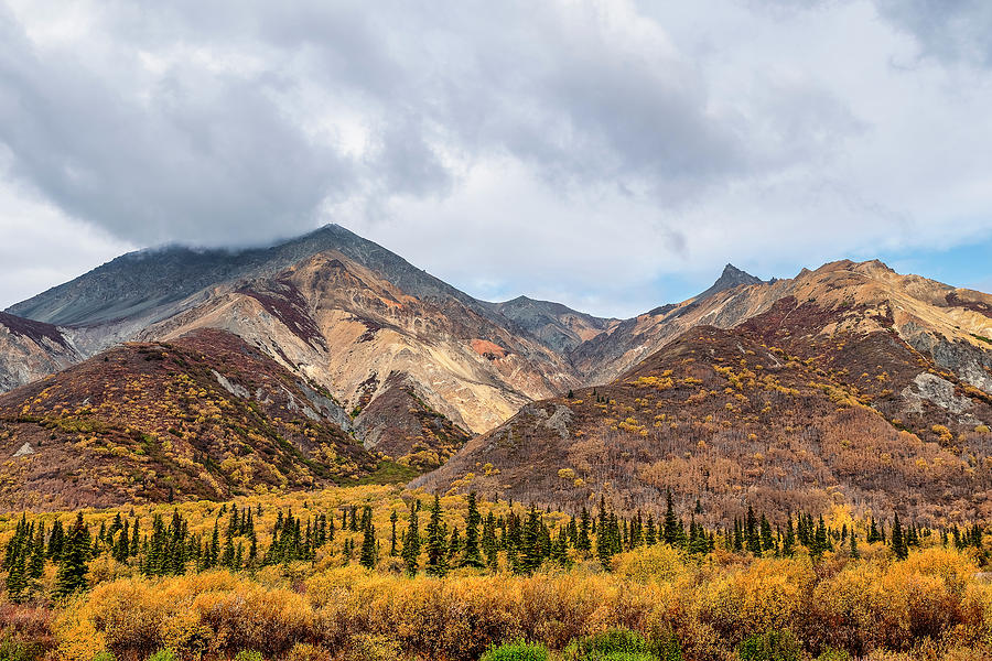 Alaska Fall Surrounding Glenn Highway in Alaska USA Photograph by Doug Holck