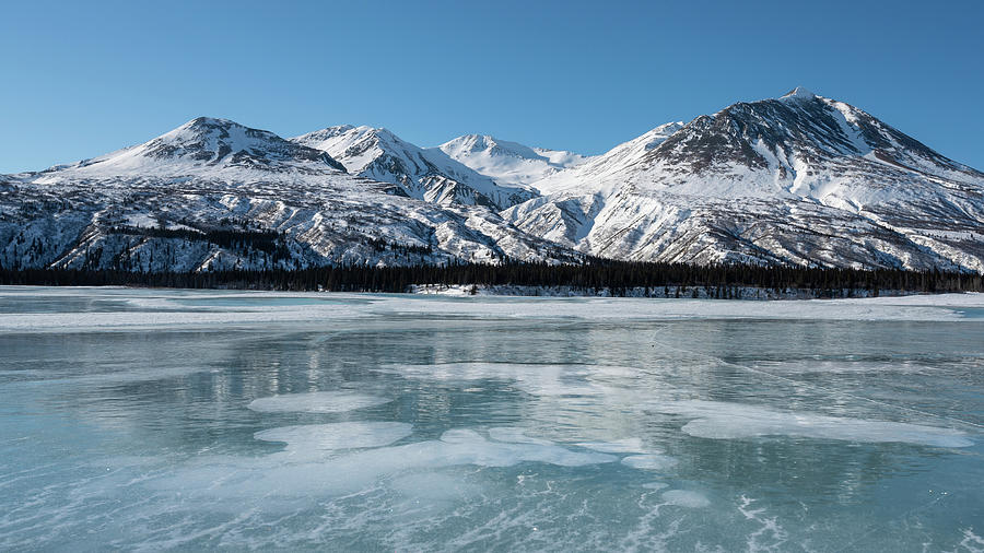 Alaska Frozen Bubble Lake Photograph by William Kennedy