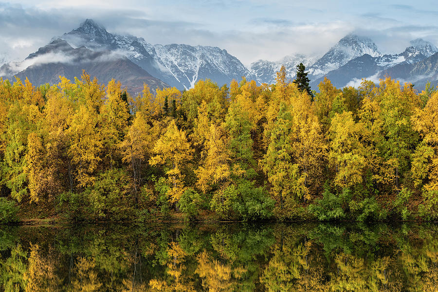 Alaska Golden Views Photograph by Scott Slone