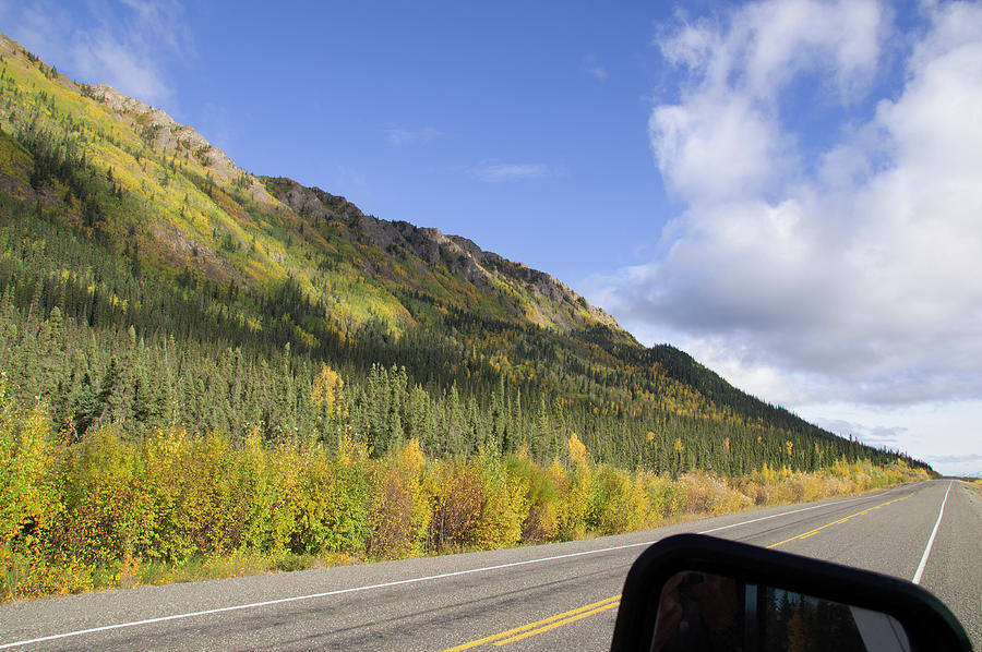 Alaska Highway Fall Colors Photograph by Robert Braley