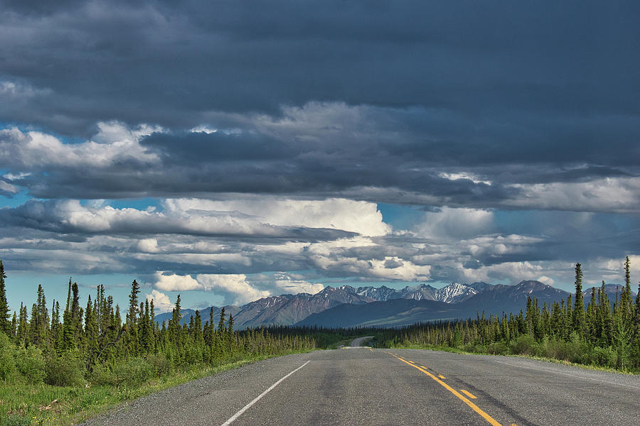 Alaska Highway in the Yukon Territory - 2023 Photograph by Cathy Mahnke