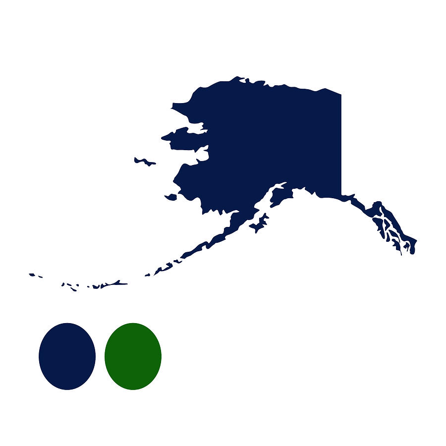 Alaska Map USA Digital Art by Bob Pardue