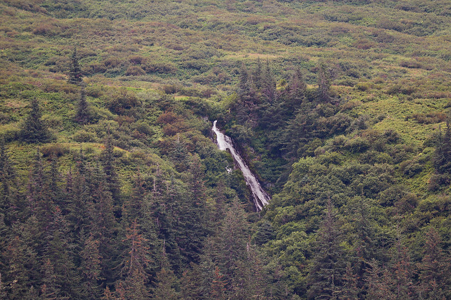 Alaska Mountainside Close Photograph by Ed Williams