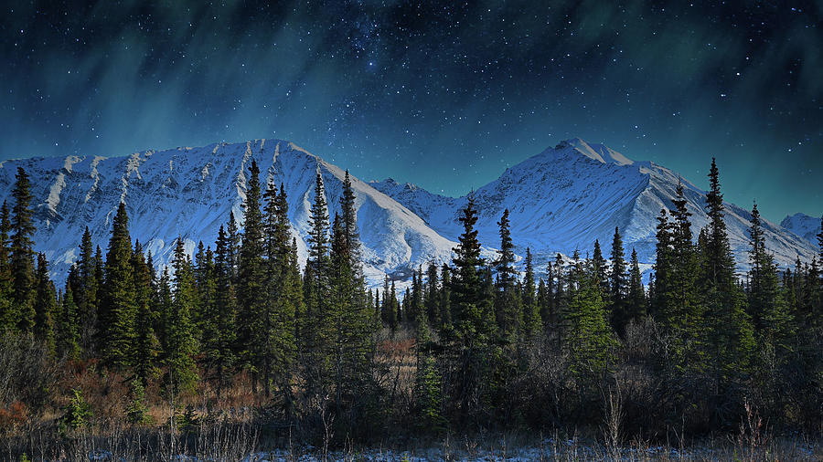 Alaska Night Evergreen Snow Mount Photograph by William Kennedy
