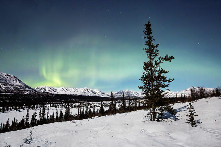 Alaska Northern Light   Photograph by Alex Mironyuk