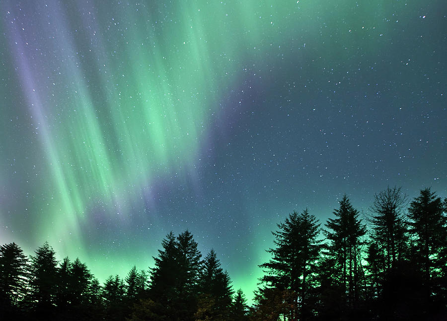 Alaska Northern Lights Photograph by Michele Cornelius