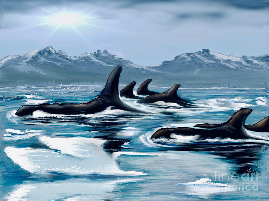 Alaska Orcas Digital Art by Darren Cannell