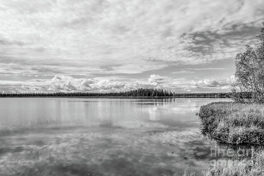 Alaska Pond Reflections Grayscale Photograph by Jennifer White