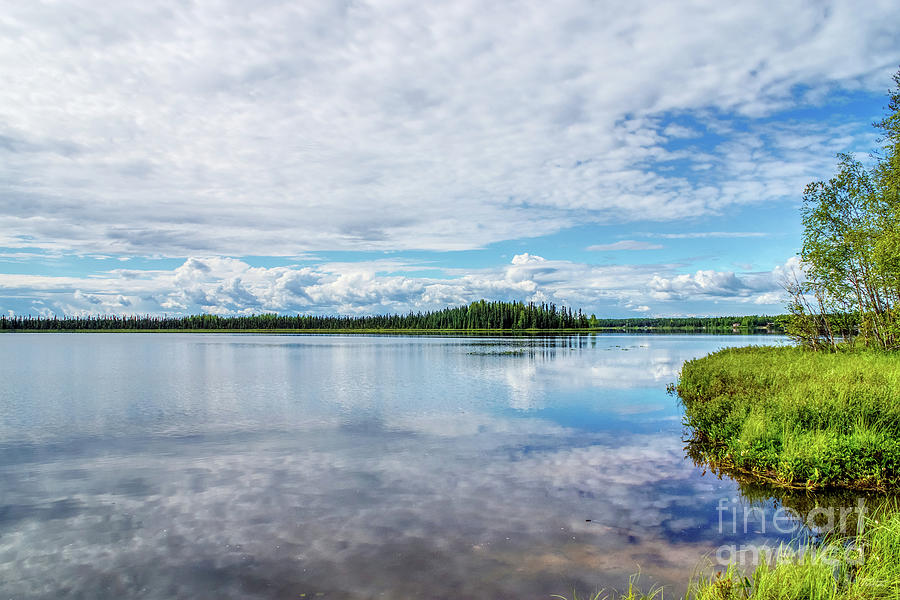 Alaska Pond Reflections Photograph by Jennifer White