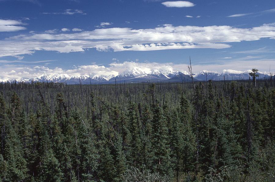 Alaska Range Near Fairbanks Photograph by Lawrence Christopher