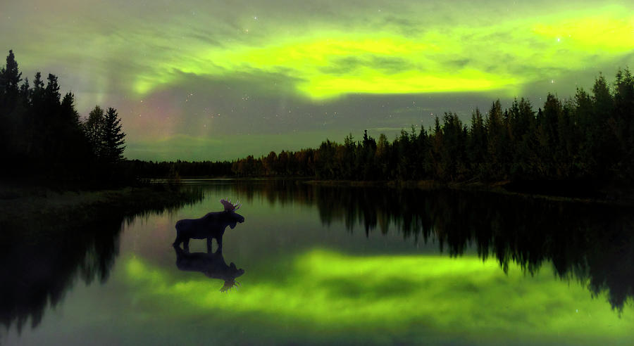 Alaska Reflections Photograph by Art Cole