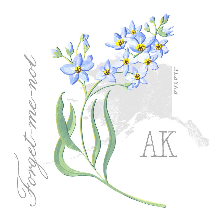 Alaska State Flower Forget-me-not Art by Jen Montgomery Painting by Jen Montgomery