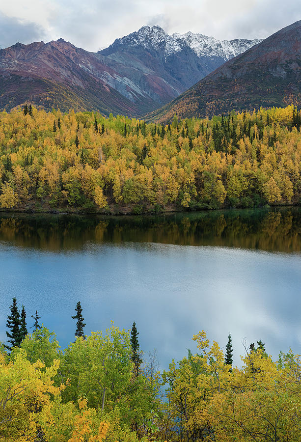 Alaska Wilderness Photograph by Scott Slone