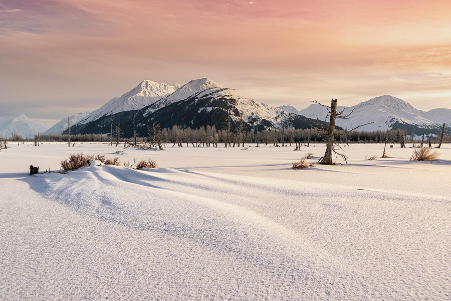Alaska Winter Puzzle Photograph by Scott Slone