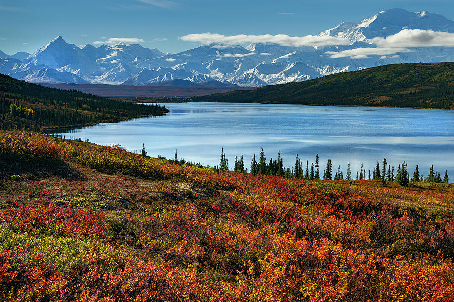 Alaska - Wonder lake in Denali national park Photograph by Olivier Parent