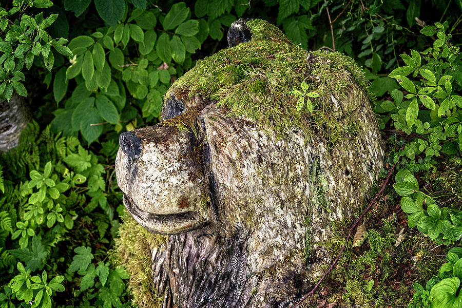 Alaskan Carved Bear Mixed Media by Pheasant Run Gallery