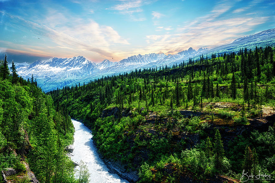 Alaskan Landscape Photograph by Robert Libby