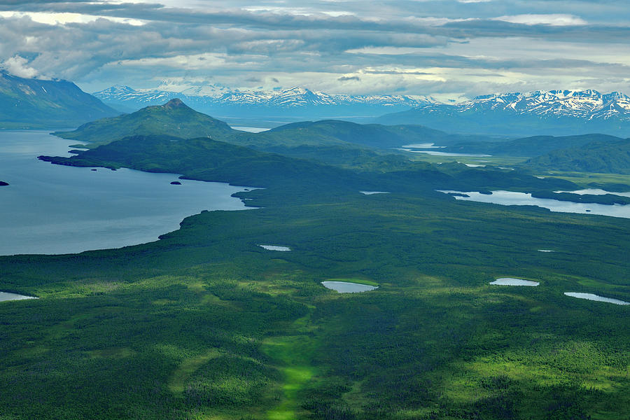 Alaskan Landscapes - Katmai National Park, Alaska Photograph by Amazing Action Photo Video