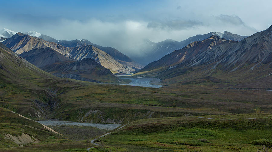 Alaskan Tundra Photograph by Nicholas McCabe